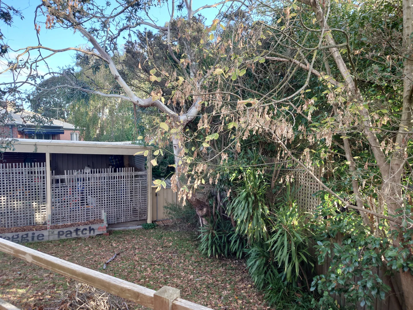 Additional image 17 of Ashwood VIC 3147