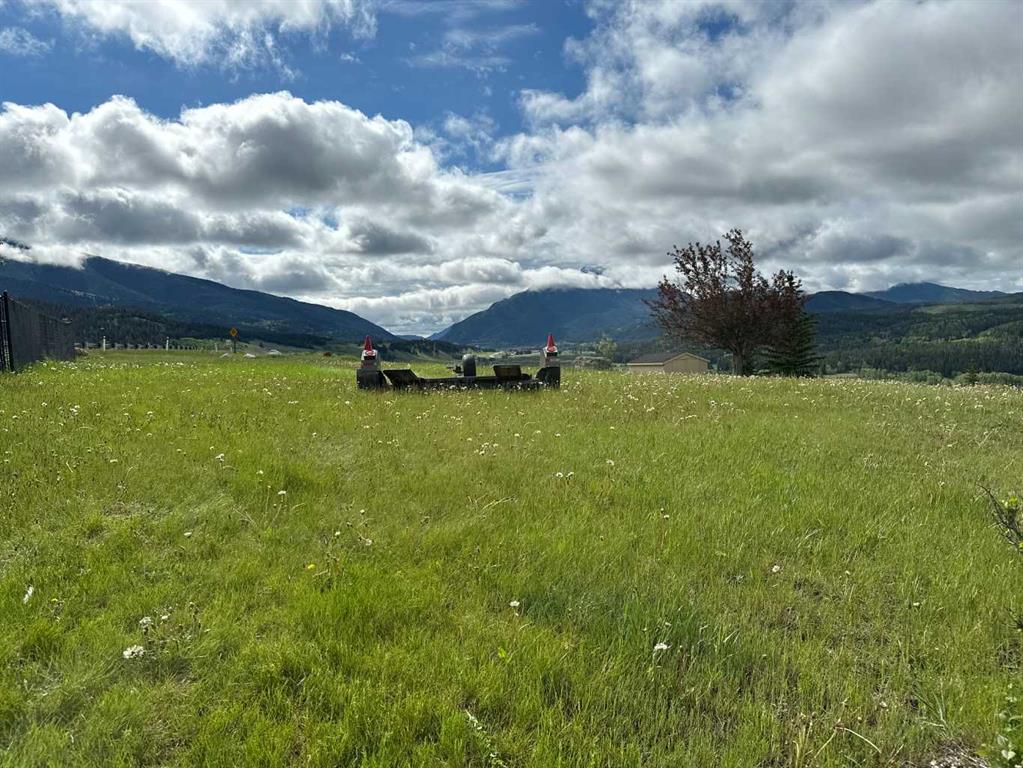 8146 26 , Coleman, AB, T0K 0M0