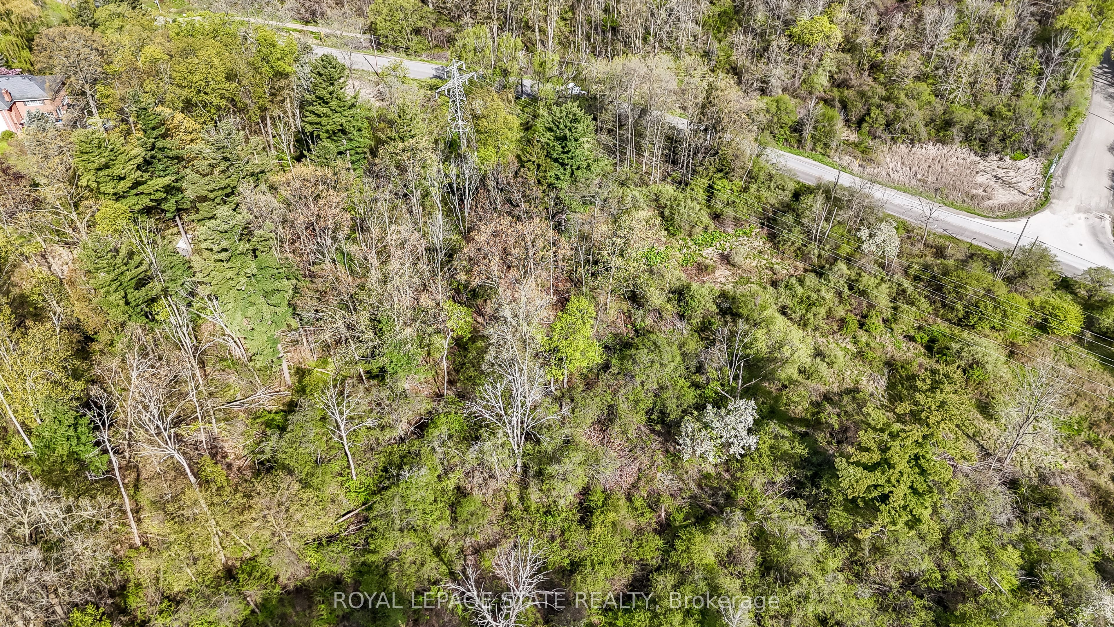 0 Mineral Springs Road, Hamilton, ON, L9G 4X1 photo 4