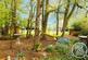 Station Road, Corton, NR32 photo 2