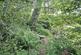 Additional image 31 of Minera Road, Minera, Wrexham