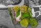 Additional image 36 of Bodymoor Heath Lane, Bodymoor Heath, Sutton Coldfield, Warwickshire, B76