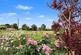 Additional image 34 of Bury Road, Flempton, Bury St Edmunds