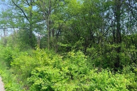 Additional image 6 of V/L Centralia Avenue N, Fort Erie, ON, L0S 1N0
