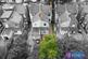 Additional image 19 of Fotheringham Road , Enfield, EN1
