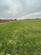 Lathom L40