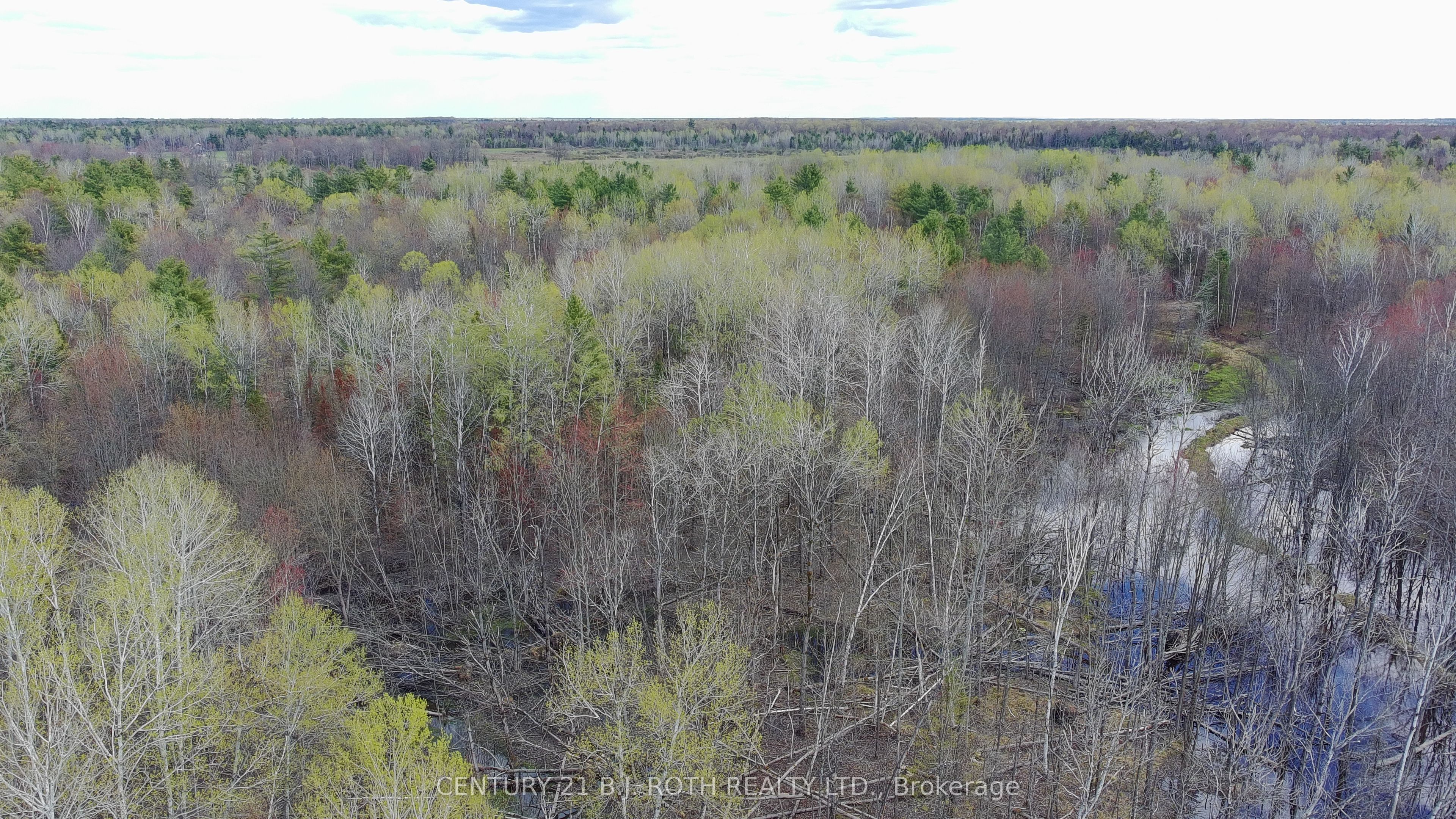 2444 Fairgrounds Road, Ramara, ON, L0K 2B0 photo 5