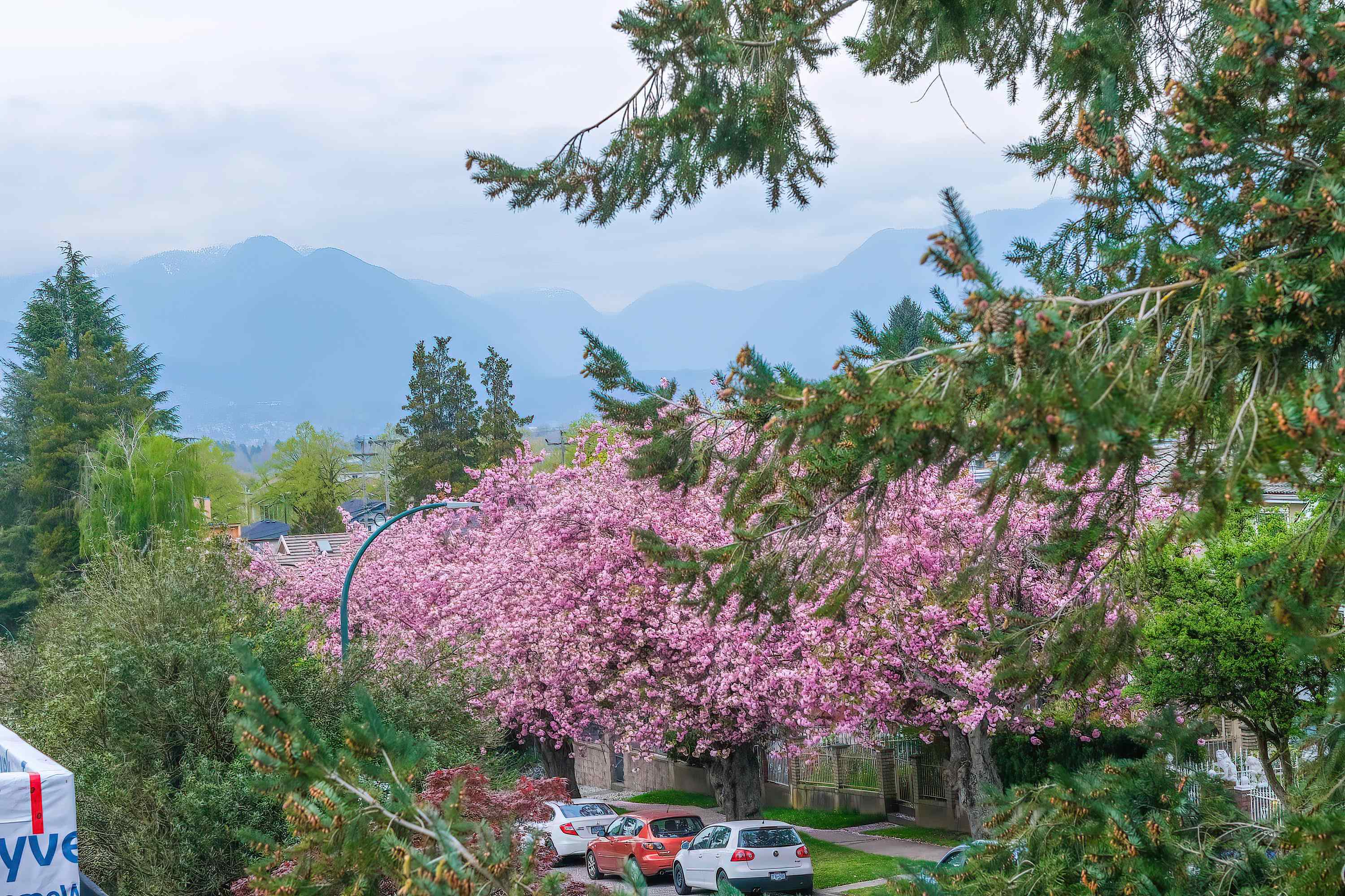Additional image 5 of 1-5595 Fleming Street, Vancouver, BC, V5P 3G1