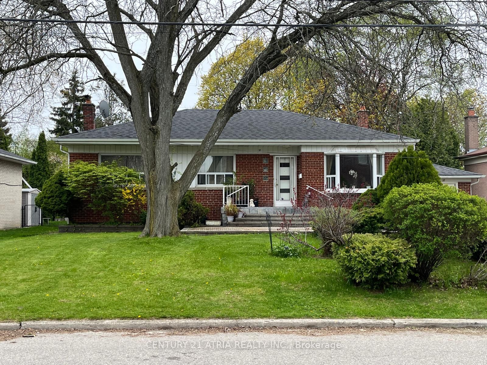 37 Tefley Road, Toronto, ON, M2M 1C5