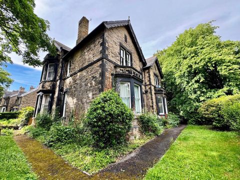 Priory Road, Nether Edge, Sheffield S7, Studio to rent