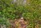 Additional image 42 of Oakbank, Tarbert Road, Ardrishaig, Argyll