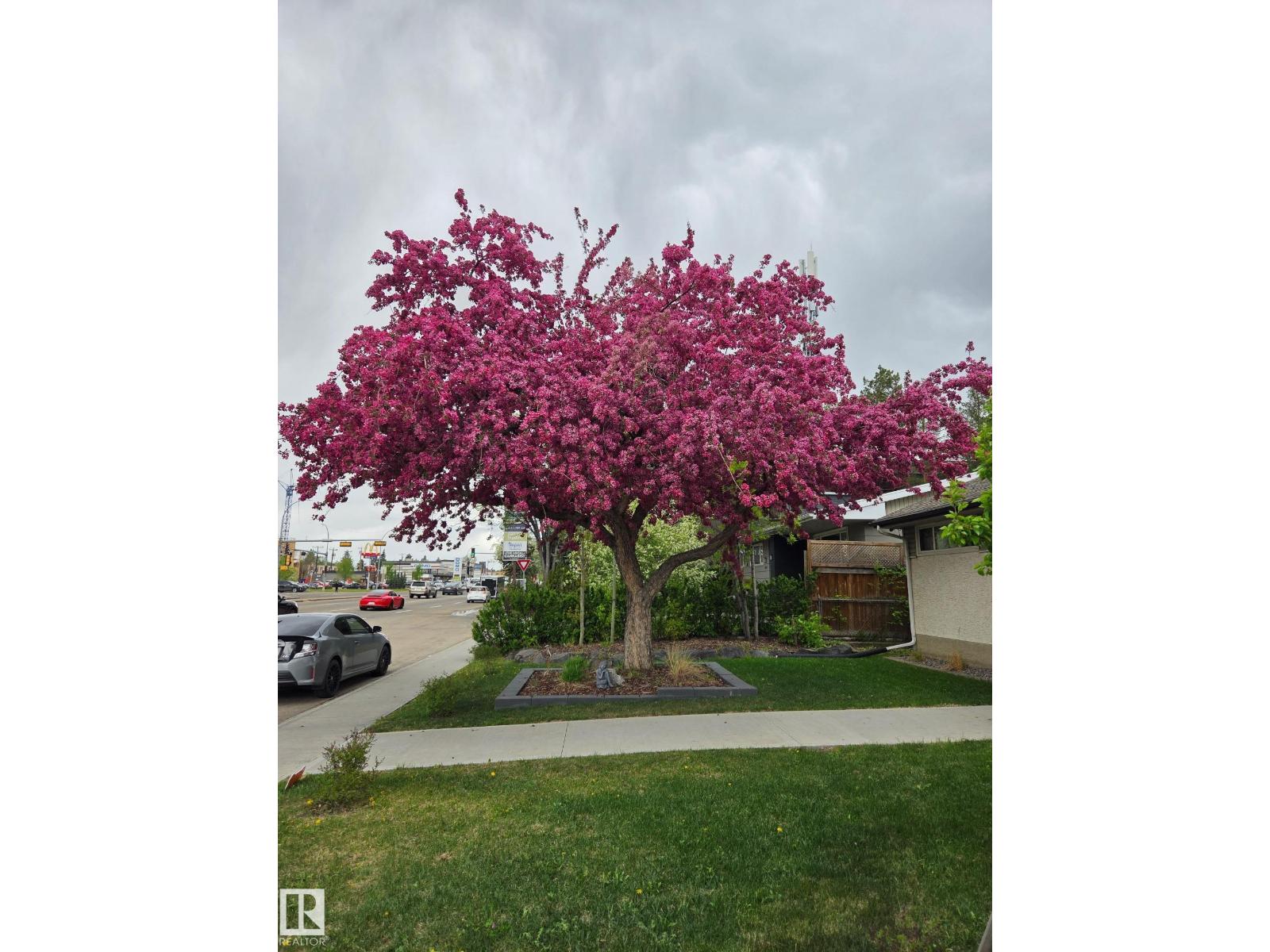 8603 149 Street NW, Edmonton, AB, T5R1B3 photo 3