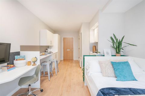 Brougham Hayes, Bath BA2, Studio to rent