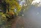 Additional image 49 of Blaenpennal, Aberystwyth, SY23