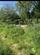 Hobhole Bank, New Leake, Boston photo 3