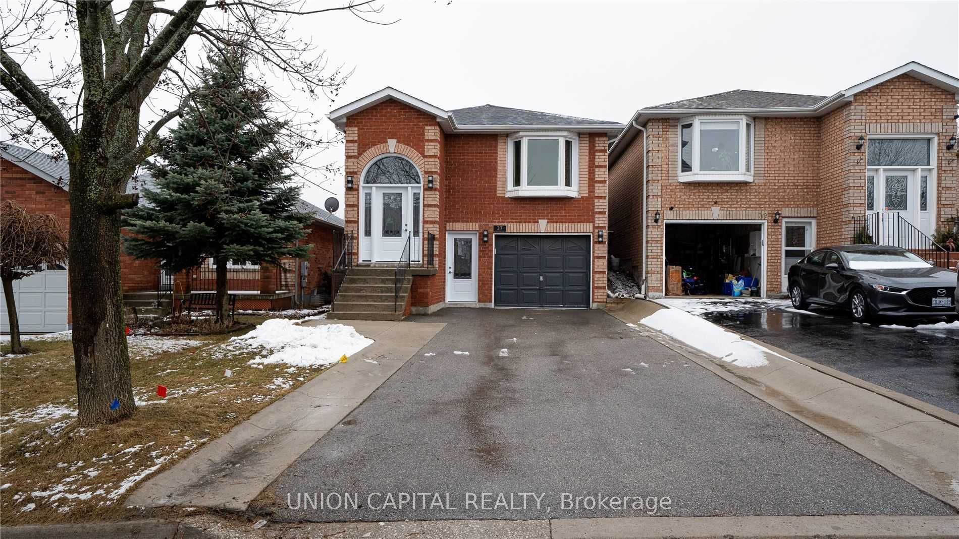 Basement-37 Roughley Street, Bradford West Gwillimbury, ON, L3Z 3B3