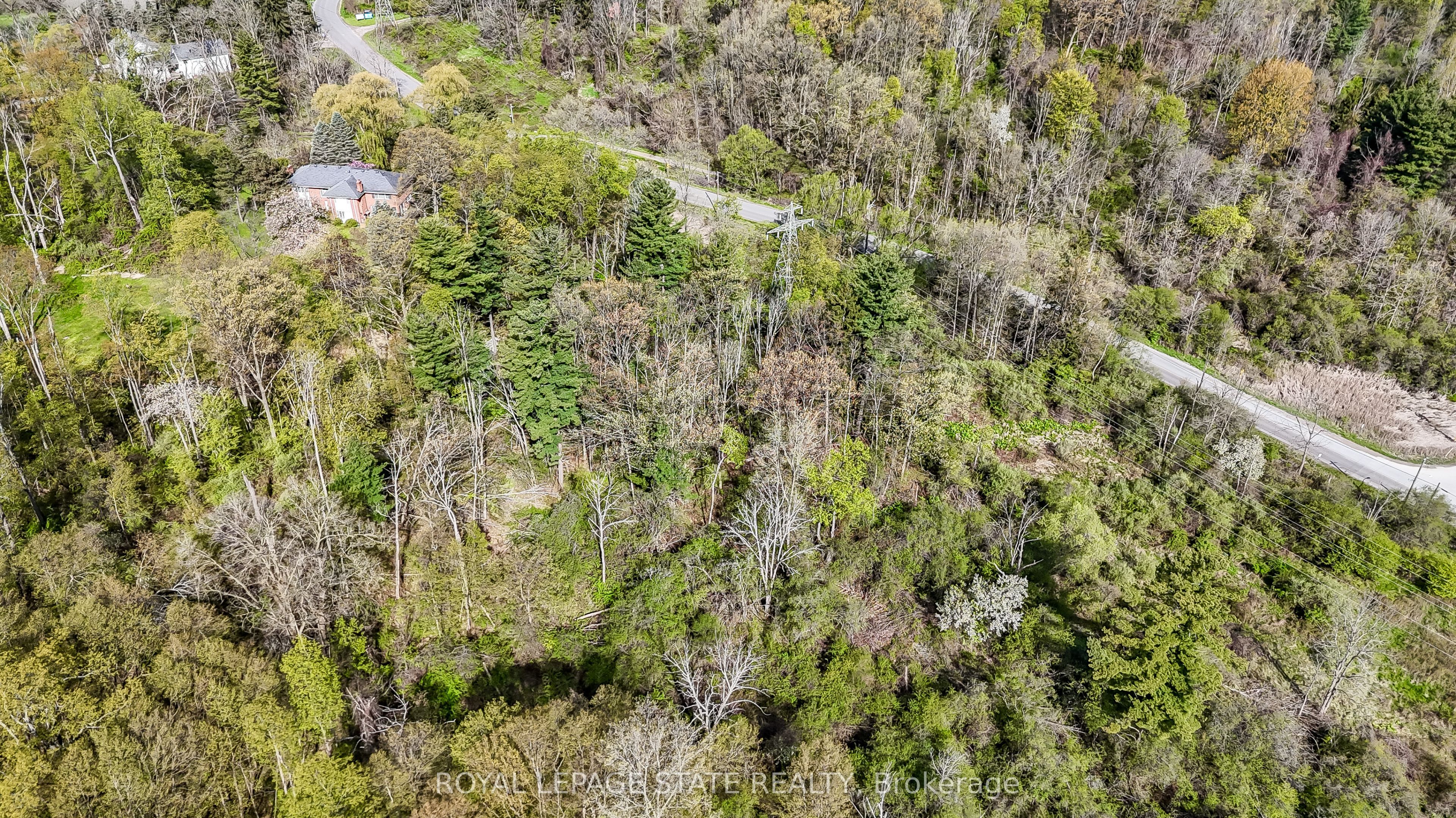 0 Mineral Springs Road, Hamilton, ON, L9G 4X1 photo 2
