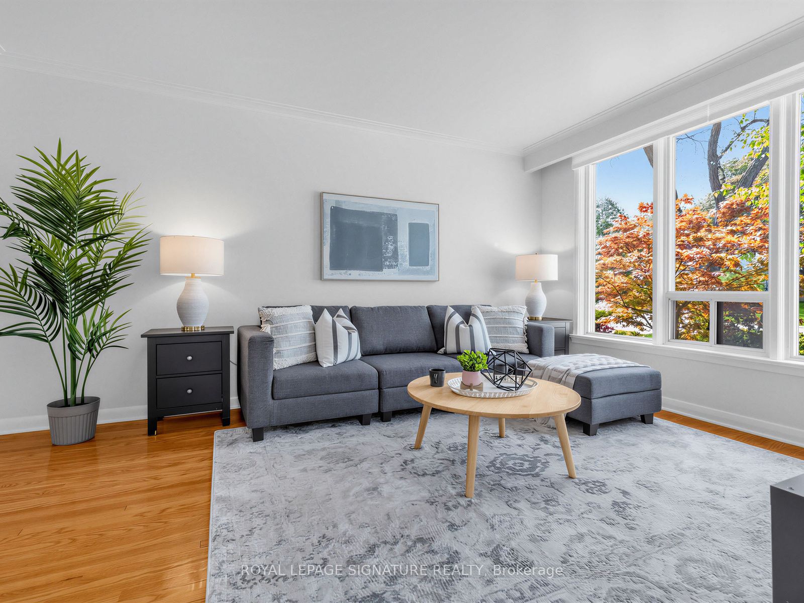 46 Plateau Crescent, Toronto, ON, M3C 1M8 photo 5