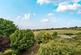 Additional image 2 of Ham Lane, Windsor, SL4