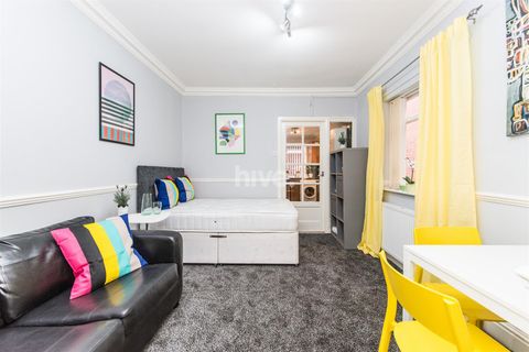 Stannington Grove, Heaton, Newcastle Upon Tyne NE6, Studio to rent