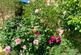 Additional image 33 of Groundstone Way, Corsham SN13