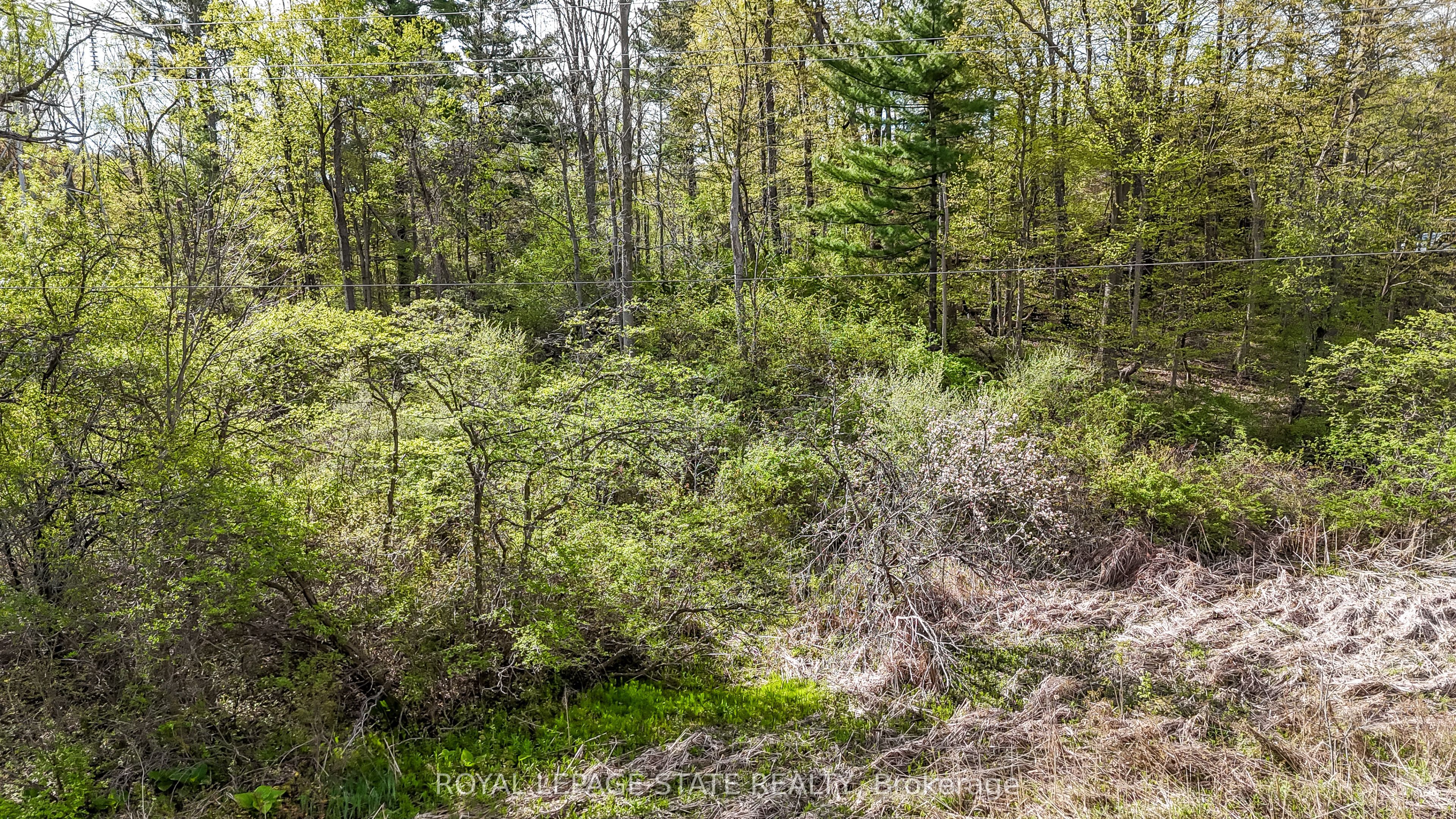 0 Mineral Springs Road, Hamilton, ON, L9G 4X1