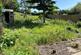 Allotment Road, Niton, Ventnor photo 2