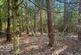 Additional image 7 of Tudor Close, Hindhead