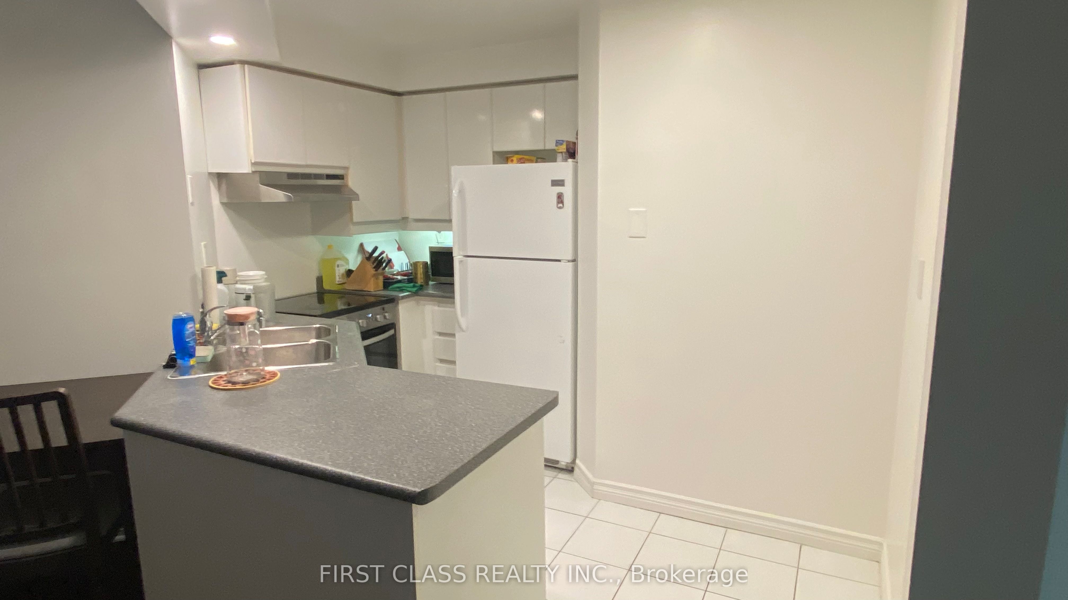 303 (Master -736 Bay Street, Toronto, ON, M5G 2M4 photo 5