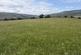 Crynant, Neath, Neath Port Talbot.