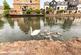 Additional image 22 of Loxley Court, Ware SG12