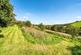 Additional image 24 of Duloe, Liskeard