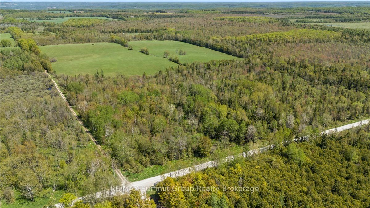 W PT LT 15 Sideroad 16b N/a, Grey Highlands, ON, N0C 1B0 photo 2
