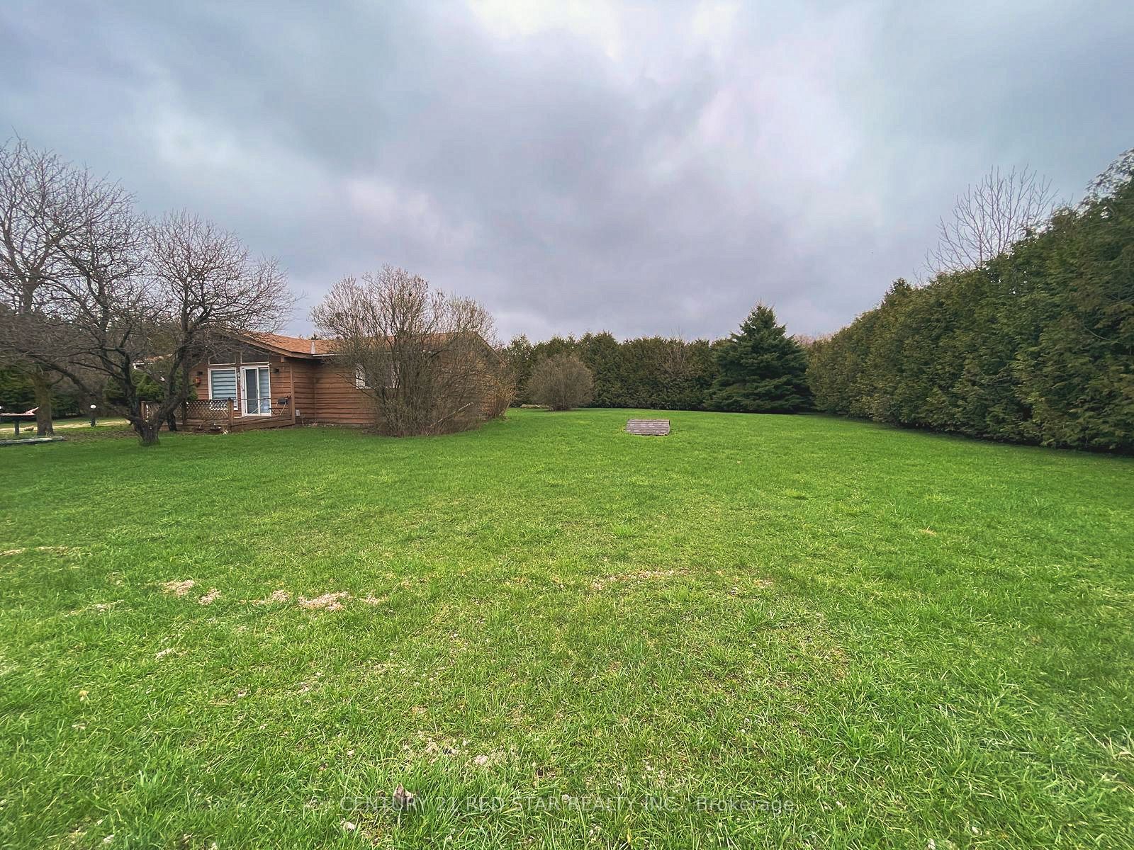 209 Evans Street, Grey Highlands, ON, N0C 1E0 photo 5