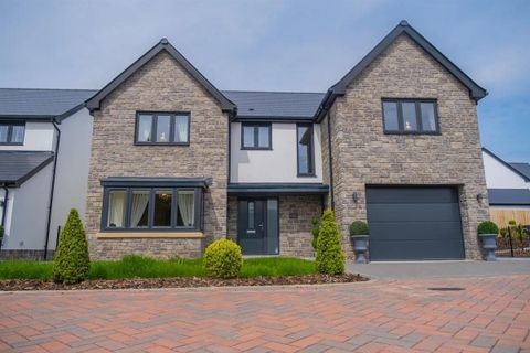 The Caerleon - The Willows, Olchfa, Sketty, Swansea SA2, New home