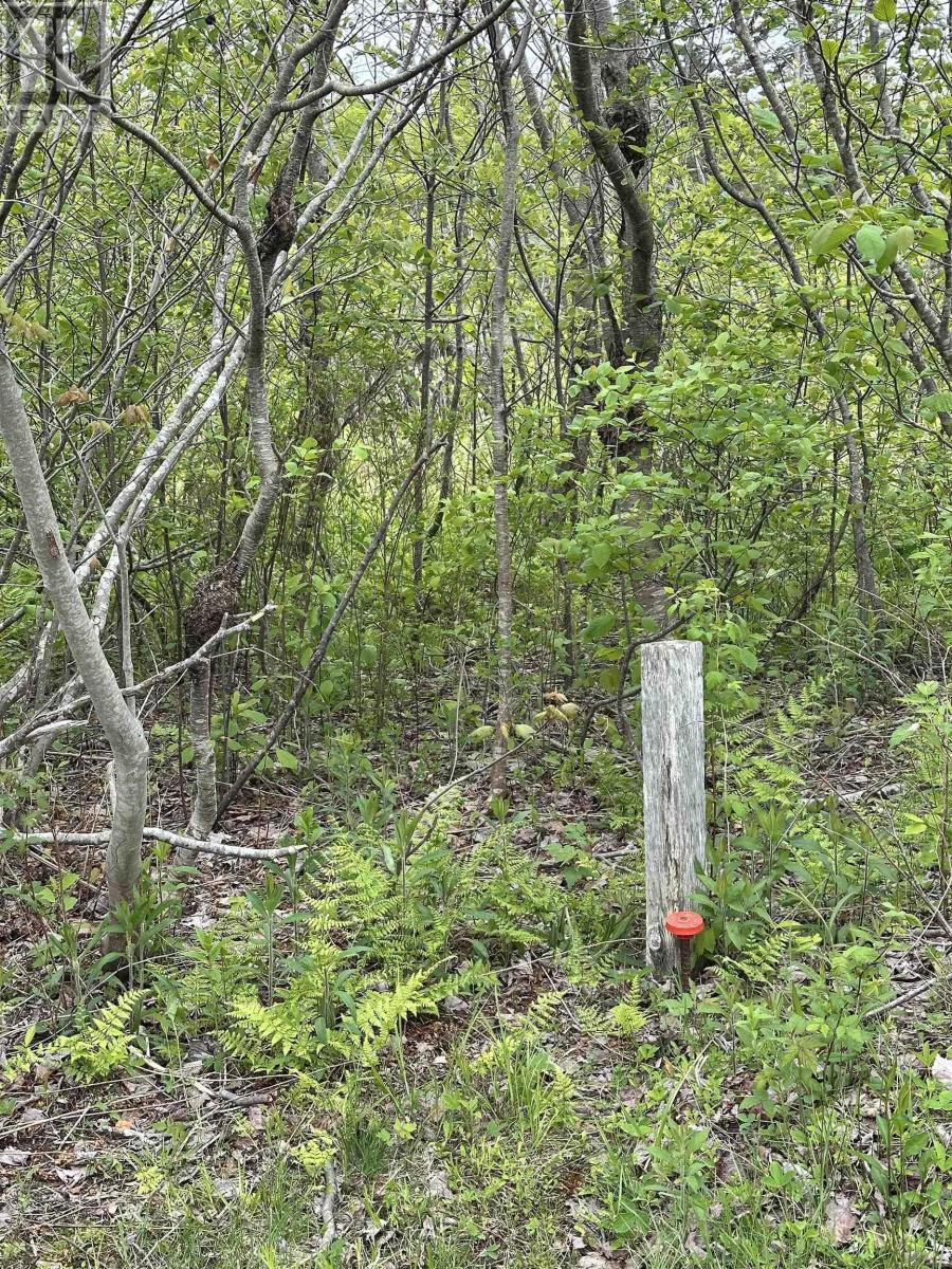 Additional image 5 of LOT-11 Cambridge Lane|cambridge Cove, Cambridge, NS, B0N2R0