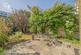 Algarve Road, London SW18 photo 4