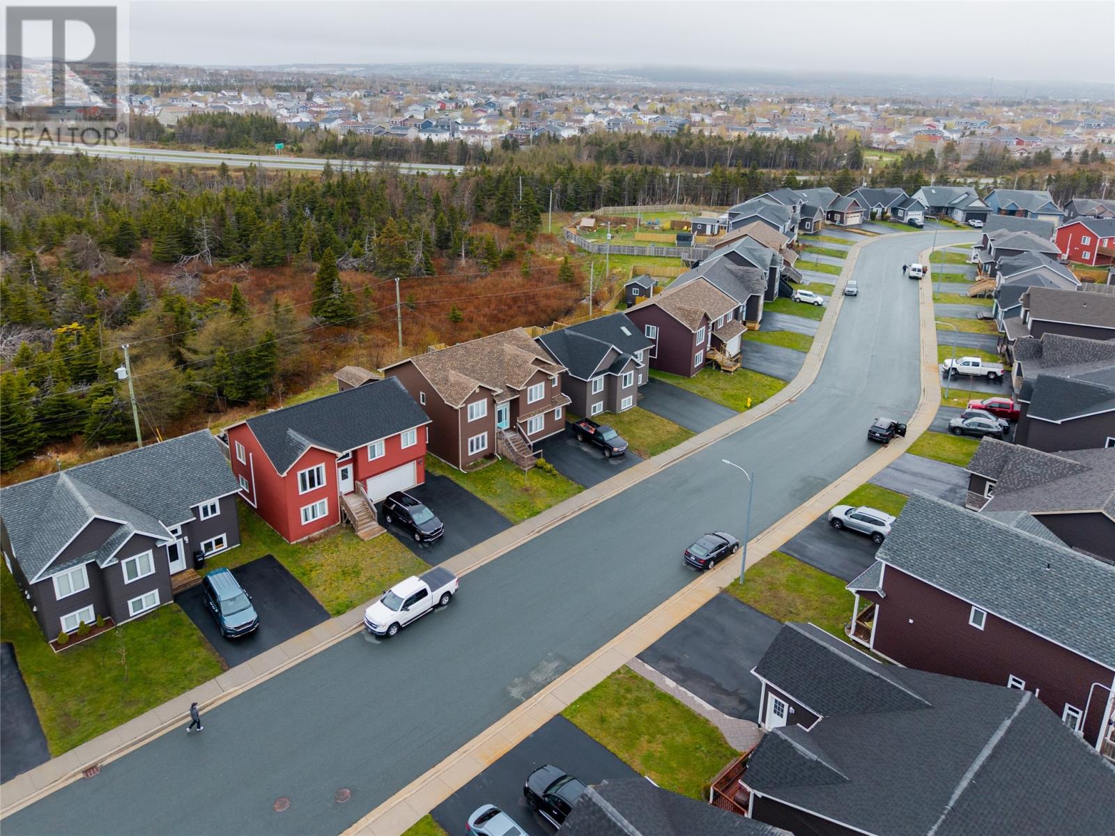 168 Diamond Marsh Drive, St John's, NL, A1H0N1 photo 3