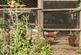 Additional image 22 of The Broadway, Rodbourne Cheney, Swindon, SN25