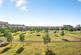 Celsus Grove, SWINDON photo 2