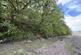 Llangwm  SA62 photo 5