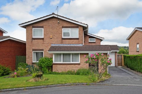 Wyvern Gardens, Dore S17