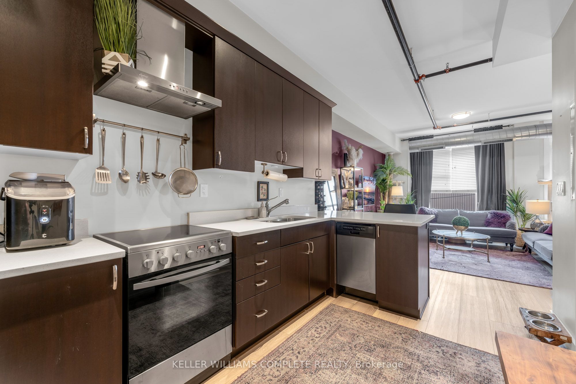 206-35 King William Street, Hamilton, ON, L8R 1A1 photo 4