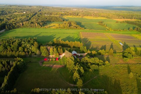Additional image 8 of 347036 Mono Centre Road, Mono, ON, L9W 6S2