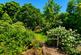 Additional image 18 of Lansdowne Road - Finchley - London - N3