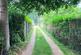 Additional image 24 of Long Lane, Holbury, Southampton, Hampshire, SO45