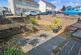 Andrew Place, Carluke photo 2