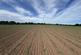 Cadney Lane, Bettisfield, Whitchurch. photo 3