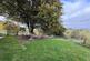 Additional image 28 of Blaenpennal, Aberystwyth, SY23