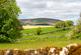 Additional image 12 of Cow Ark, Clitheroe, BB7